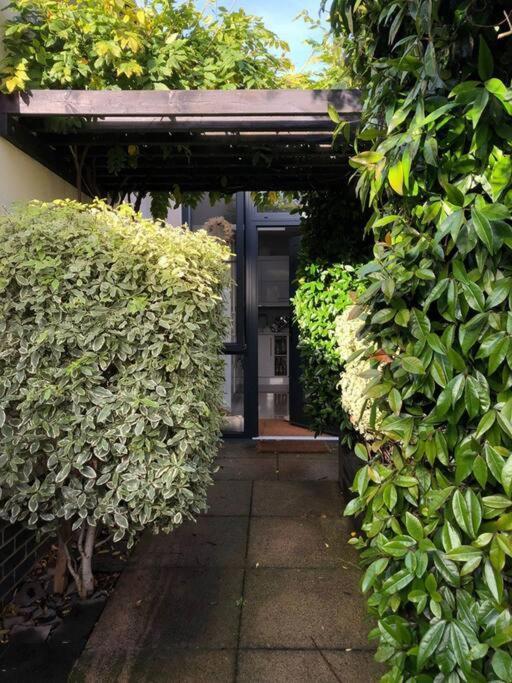 Private Garden Oasis In Leilighet *